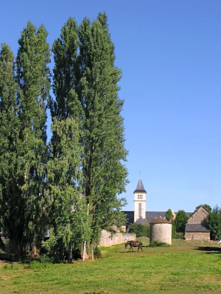Poplars and church in France — Stock Photo, Image