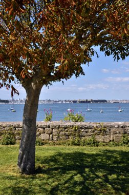 Ağaç içinde bağlantı noktası, Port-Louis Brittany Fransa