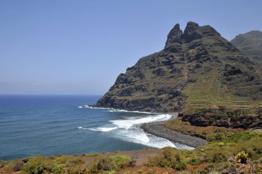 Rocky coast of Punta del Hidalgo at Tenerife clipart