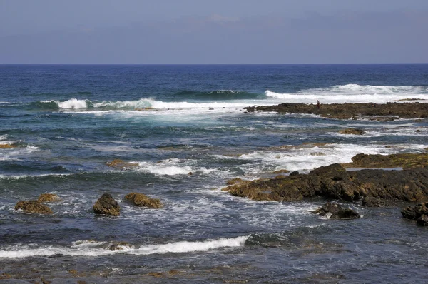 Felsige Küste von Punta del Hidalgo auf Teneriffa — Stockfoto