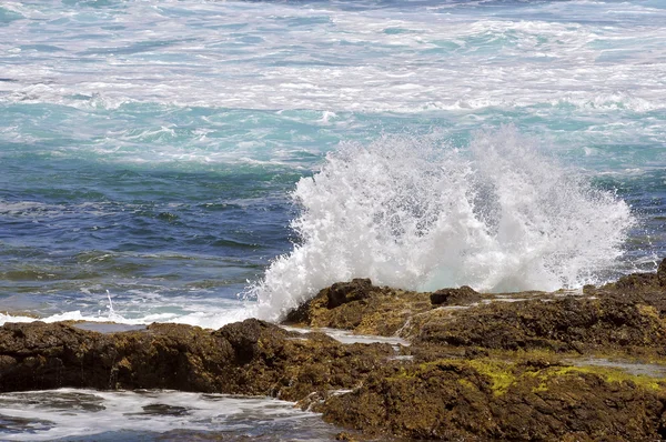 Vlna z Punta del Hidalgo na Tenerife — Stock fotografie