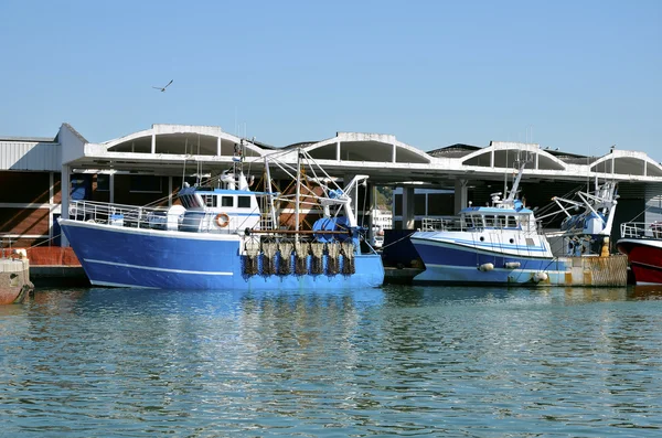 Barcos de pesca en Dieppe en Francia — Foto de Stock