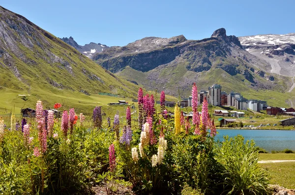 Lake van Tignes en bloemen in Frankrijk — Stockfoto