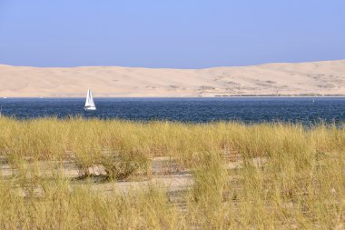 Cap-gelincik Fransa Dune
