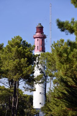 Cap-gelincik Fransa deniz feneri