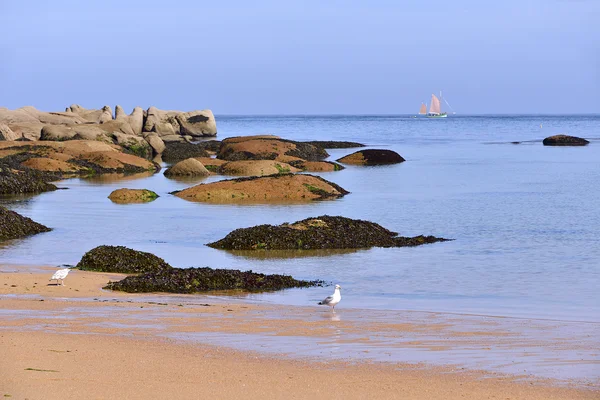 Péninsule de plage Renote en France — Photo