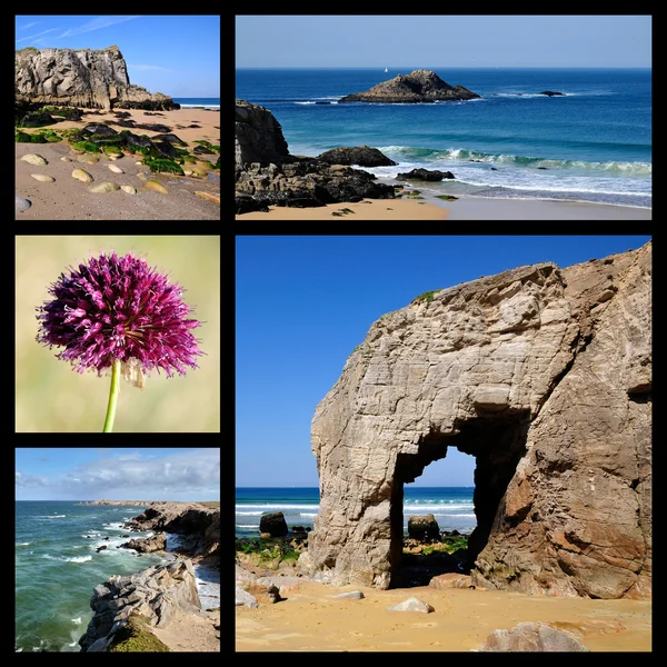 Photos mosaic of coastline of Quiberon in France — Stock Photo, Image