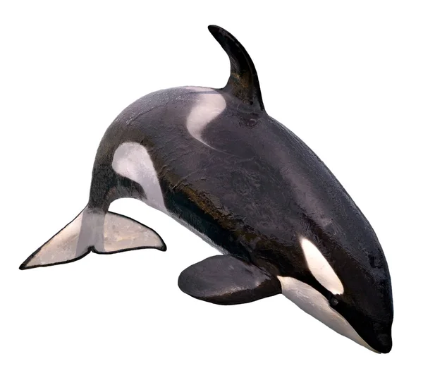 Isolated killer whale jumping Stock Photo