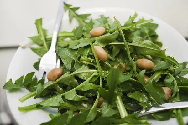 Ensalada de diente de león fresco — Foto de Stock