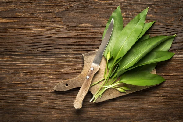 Wild garlic leaves — Stock Photo, Image