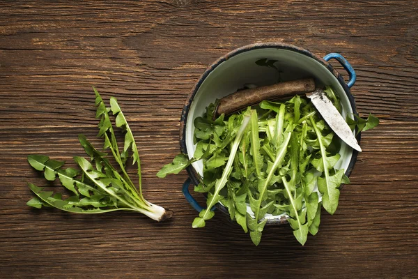 Frischer Löwenzahnsalat — Stockfoto