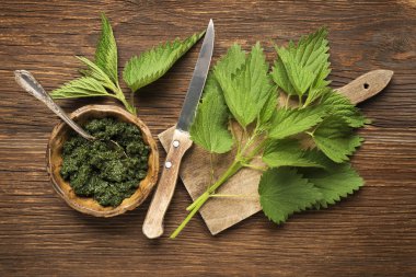Taze ısırgan pesto