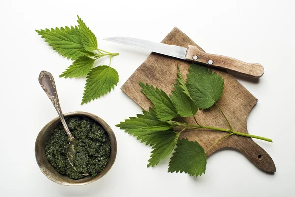 Frisches Brennnessel-Pesto — Stockfoto