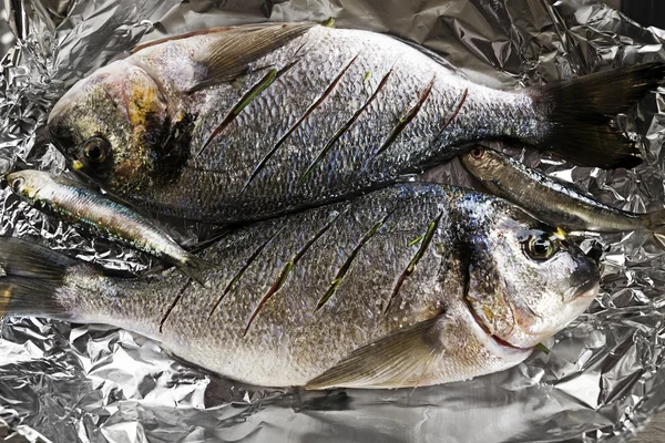 Alimentos crus para peixes — Fotografia de Stock