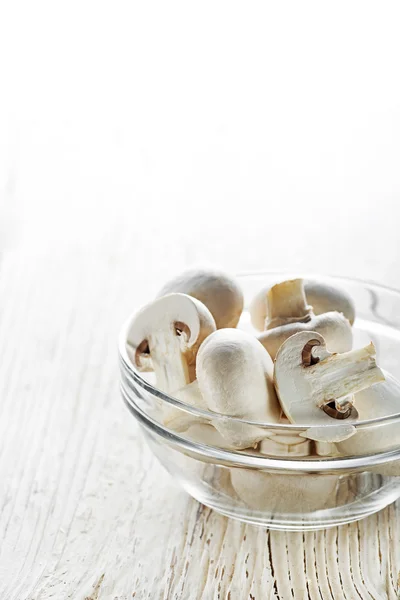 Raw Mushrooms champignons — Stock Image Raw Mushrooms champignons Stock Picture