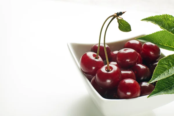 Cherry on white bowl — Stock Photo, Image