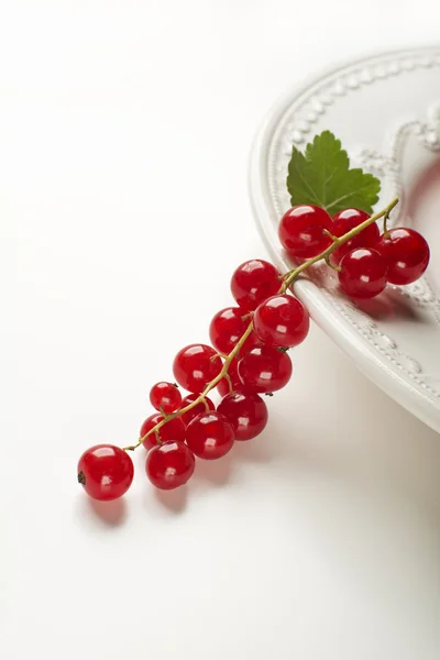 Red currant berries — Stock Photo, Image