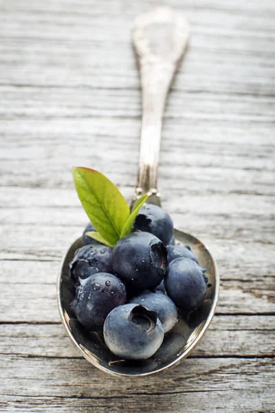 Blaubeere auf Löffel aus nächster Nähe — Stockfoto