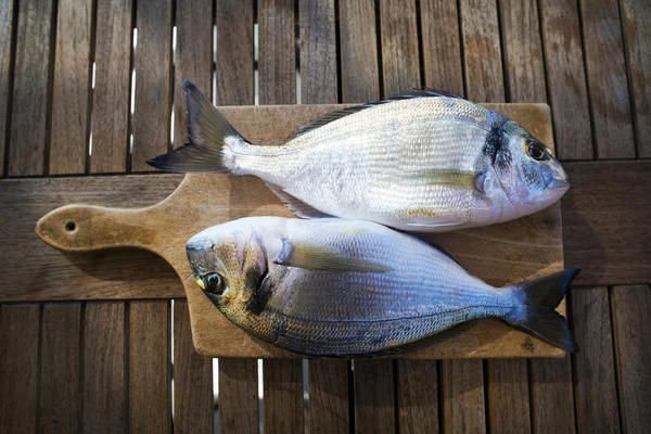 Fish — Stock Photo, Image