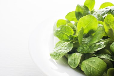 salata