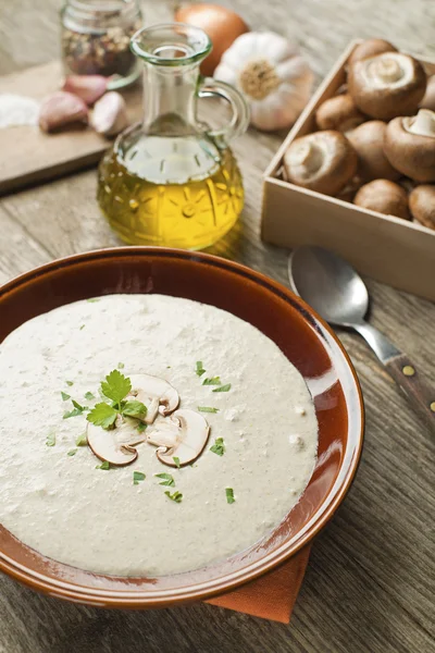 Sopa de cogumelos — Fotografia de Stock