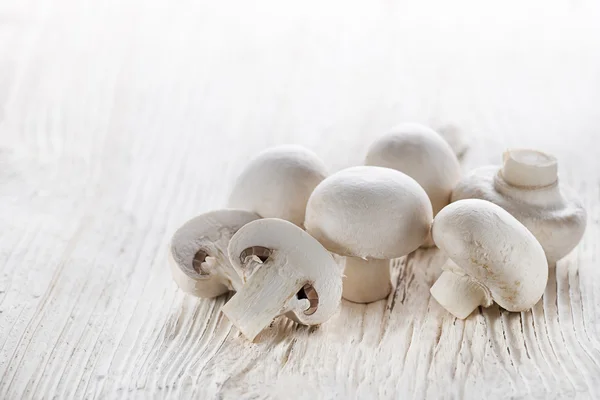 Mushrooms champignons — Stock Image Mushrooms champignons Stock Picture