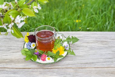 Ev bahçesindeki ahşap arka planda bir fincan sağlıklı bitki çayı..
