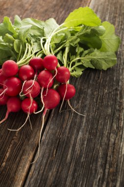 taze kırmızı turp