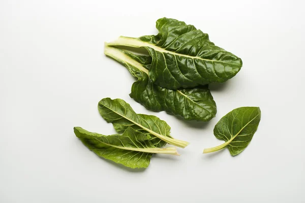 Grüne Mangold-Blätter — Stockfoto