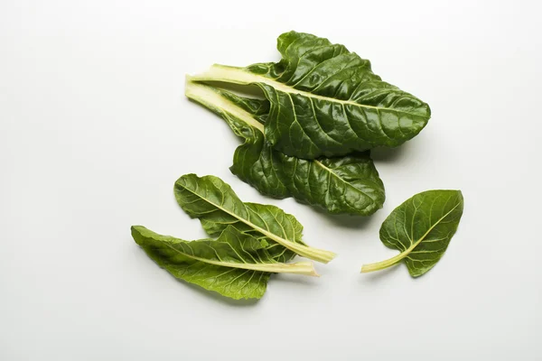 Green Chard frunze — Fotografie, imagine de stoc