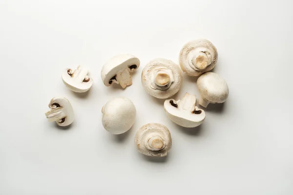 Witte champignons Kweekaccessoires — Stockfoto