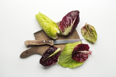 taze salata yaprakları