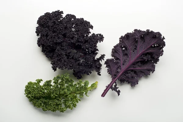 Frunza de Kale pe alb — Fotografie, imagine de stoc