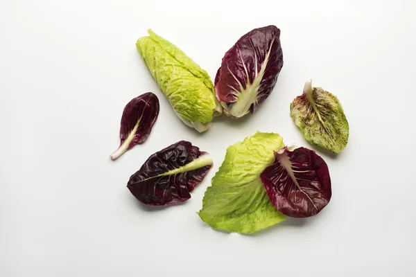 Foglie di insalata fresca — Foto Stock