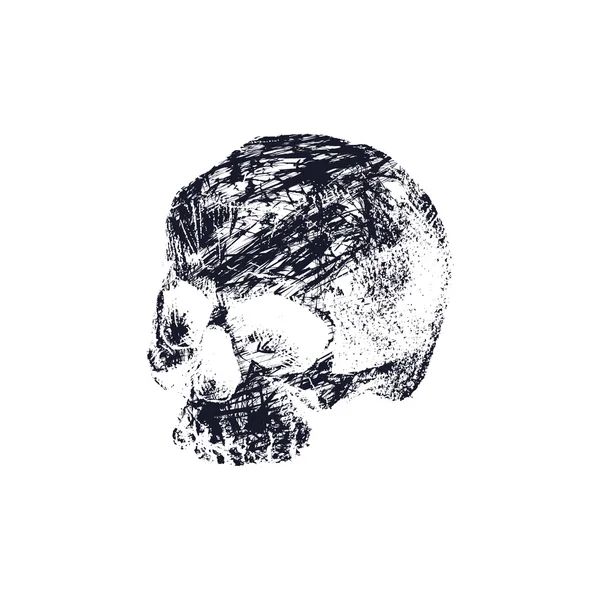 Crânio humano preto e branco — Vetor de Stock
