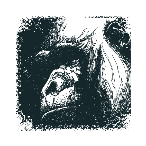 Illustration vectorielle face de singe. — Image vectorielle