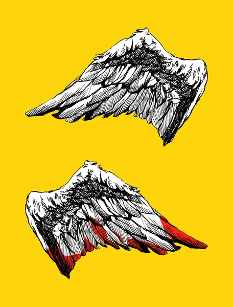 Mano dibujado ángel alas vector — Vector de stock