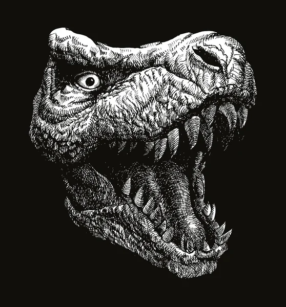 Trex Dinosaurio. Fondo vectorial. Eps 8 — Vector de stock