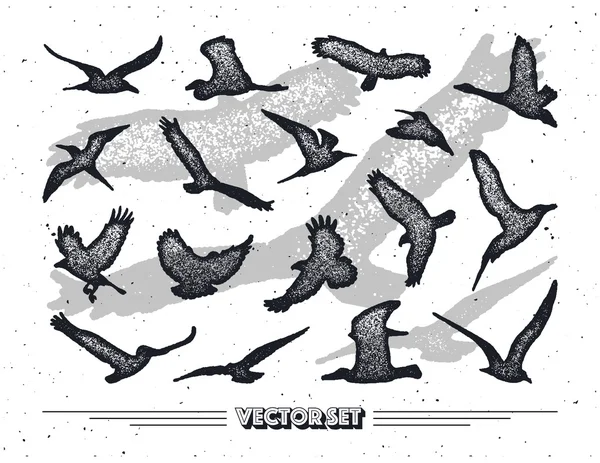 Set van vogels silhouetten - vliegen, zittend. — Stockvector