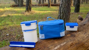 Mavi tekstil soğutucu çantası, mavi kapaklı iki beyaz beslenme çantası, ve ormandaki bir kütüğün üzerinde büyük bir konteynır, piknik seti.