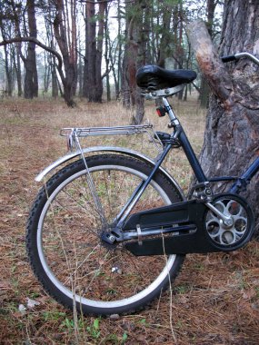 Bavul askısı ve tekerleği olan koyu mavi bir bisikletin arka tarafında, ormanın arka planındaki bir ağaca yaslanmış, bisiklet turu detaylarını gösteriyor.