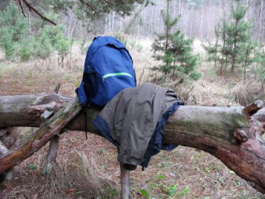 Mavi bir sırt çantası ve koyu yeşil bir ceket kozalaklı bir ormandaki düşmüş bir kütüğe atılır. Bu da doğada bir mola ya da kamp göstergesidir.