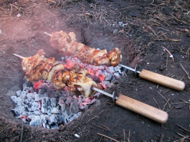 Yerdeki bir çukurda kırmızı kömürlerin üzerinde pişen iki altın, pembe tavuk kanatlı şiş kamp barbeküsünün iştah açıcı sonucunu vurguluyor.