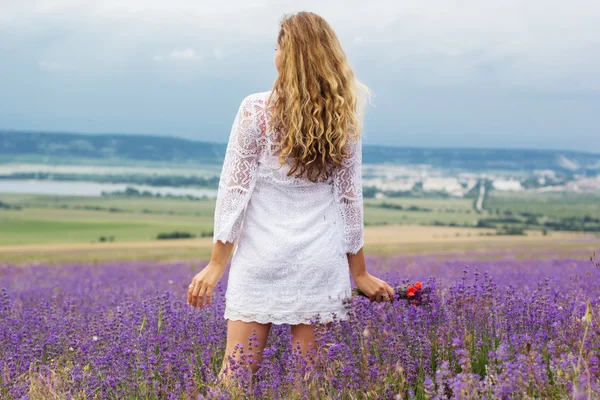 Bakifrån av flicka på lila lavendel fält — Stockfoto
