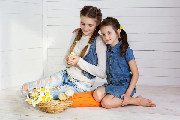 Happy pretty sisters are holding chicks indoors — Stock Photo, Image