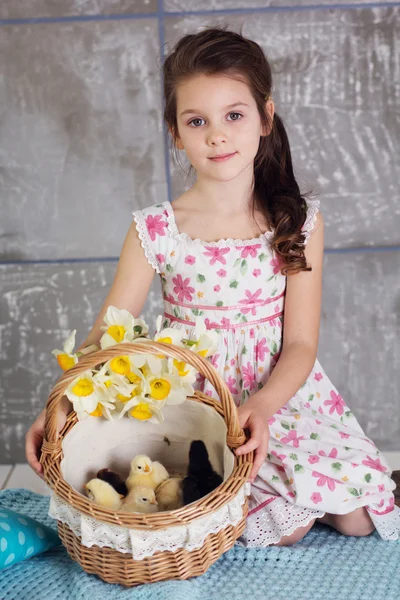 Little child girl with basket full of chicks — Stock Photo, Image