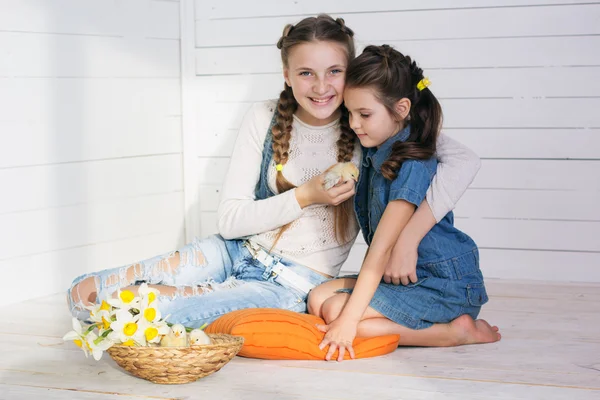 Duas meninas estão segurando pintinhos amarelos, tempo de Páscoa — Fotografia de Stock