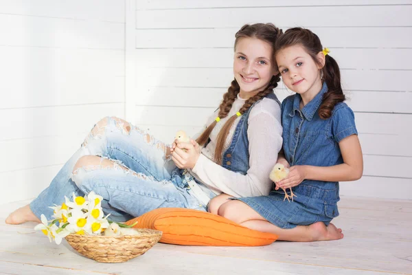 Duas meninas estão segurando pintinhos amarelos dentro de casa — Fotografia de Stock