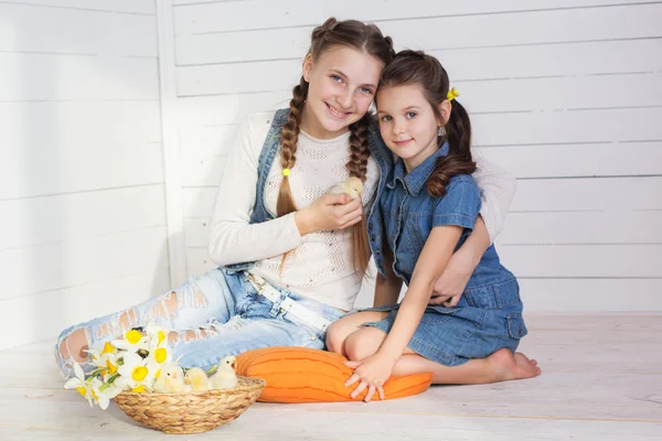 Two sisters are holding yellow chicks indoors — Stock Photo, Image