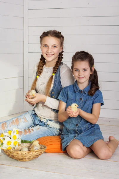 Smiling pretty girls holding chickens indoors — Stock Photo, Image